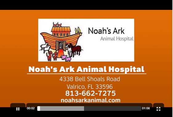 Noah's Ark Animal Hospital - Veterinarian in Valrico, FL US